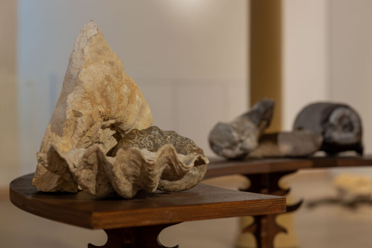 Świątyna Baśni, Bwa Wrocław