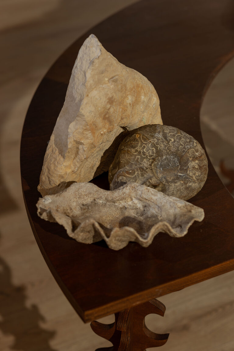 Świątyna Baśni, Bwa Wrocław