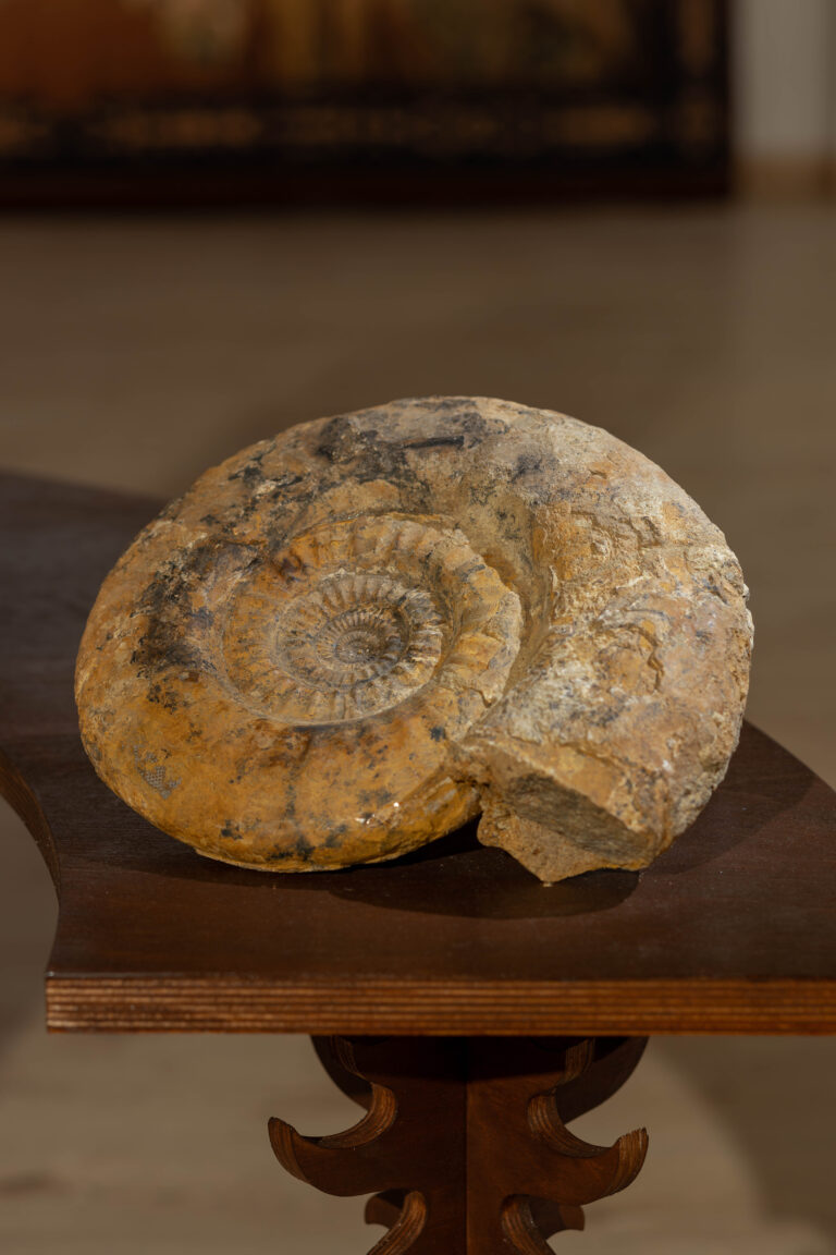 Świątyna Baśni, Bwa Wrocław